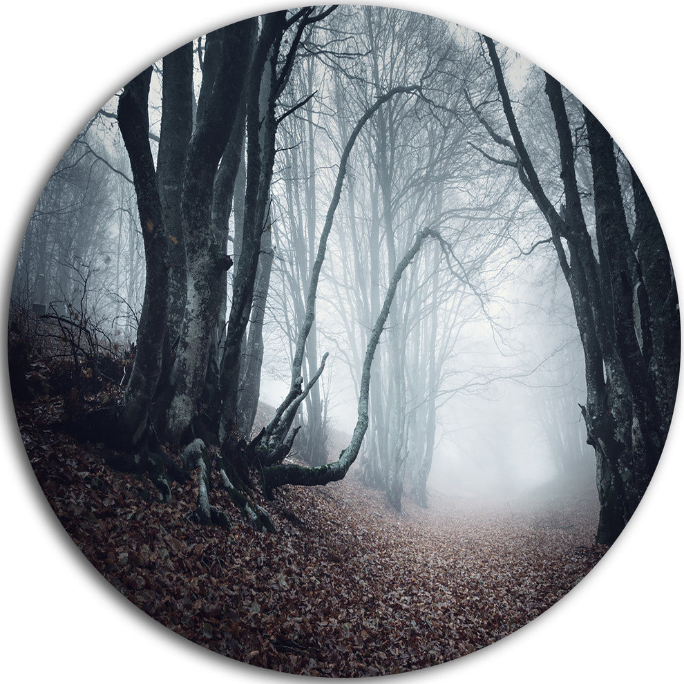 Mysterious Fairytale Foggy Wood, Landscape Round Metal Wall Art, 11"