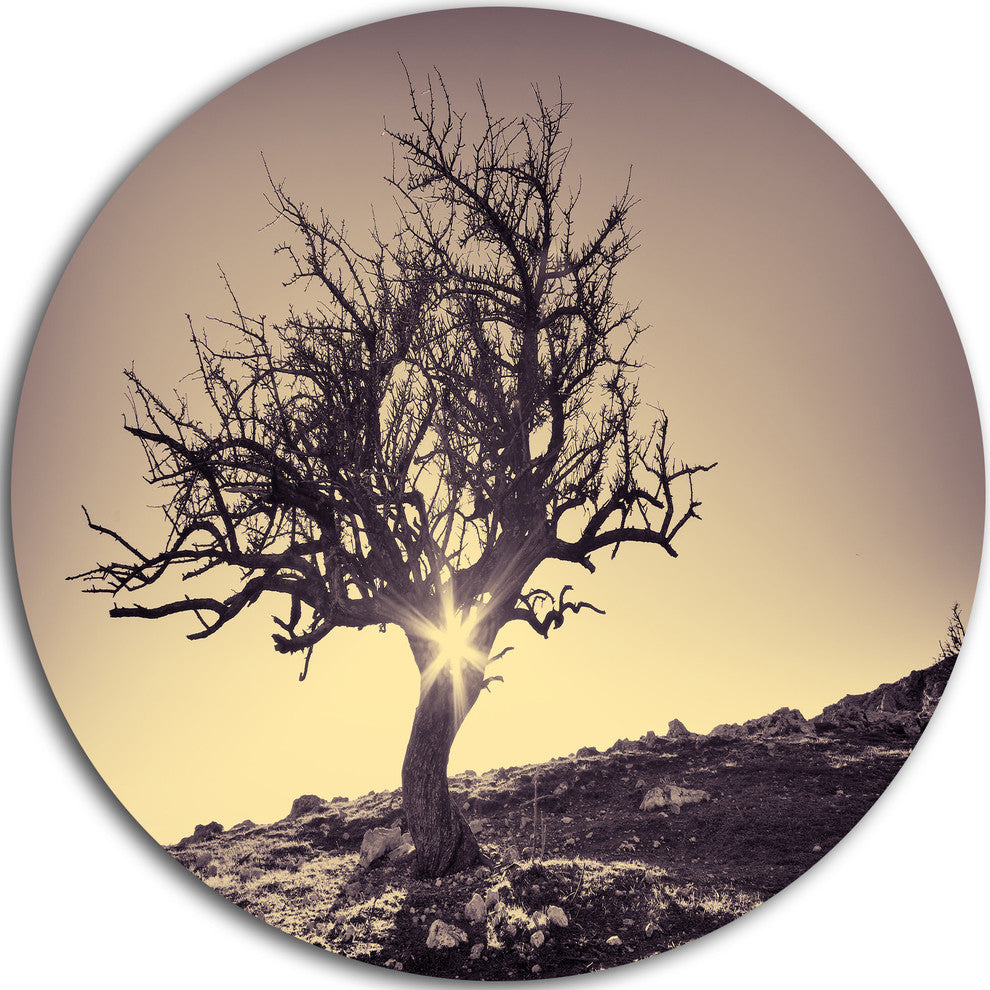 Lonely Grey Tree In Mountain, Round Wall Art Landscape, 11"