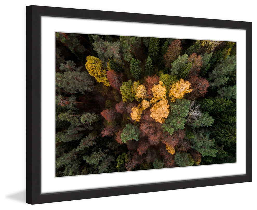 "Luscious Flora" Framed Painting Print by Karolis Janulis