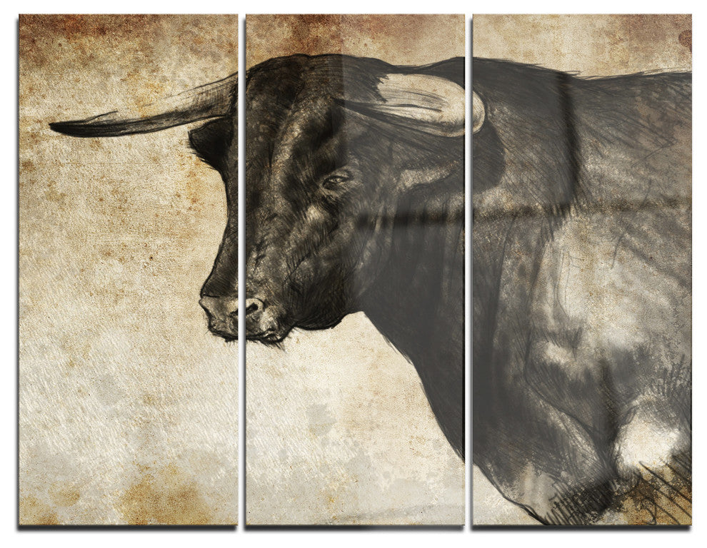 "Spanish Bull Sketch" Glossy Metal Wall Art, 3 Panels, 36"x28"