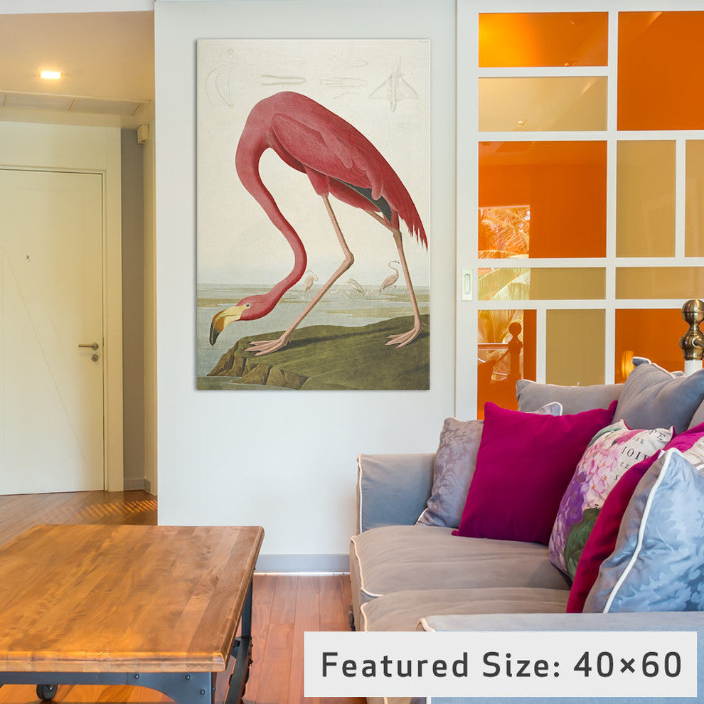 "Flamingo, from 'The Birds of America' " by John James Audubon, 18x12x1.5"