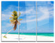 "Solitary Coconut Palm at Beach" Photo Metal Wall Art, 3 Panels, 36"x28"
