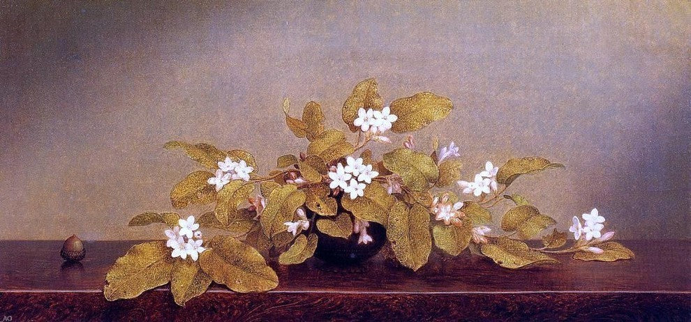 Martin Johnson Heade Trailing Arbutis Premium Canvas Print