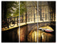"Romantic Bridge Over Canal" Photo Metal Wall Art, 3 Panels, 36"x28"
