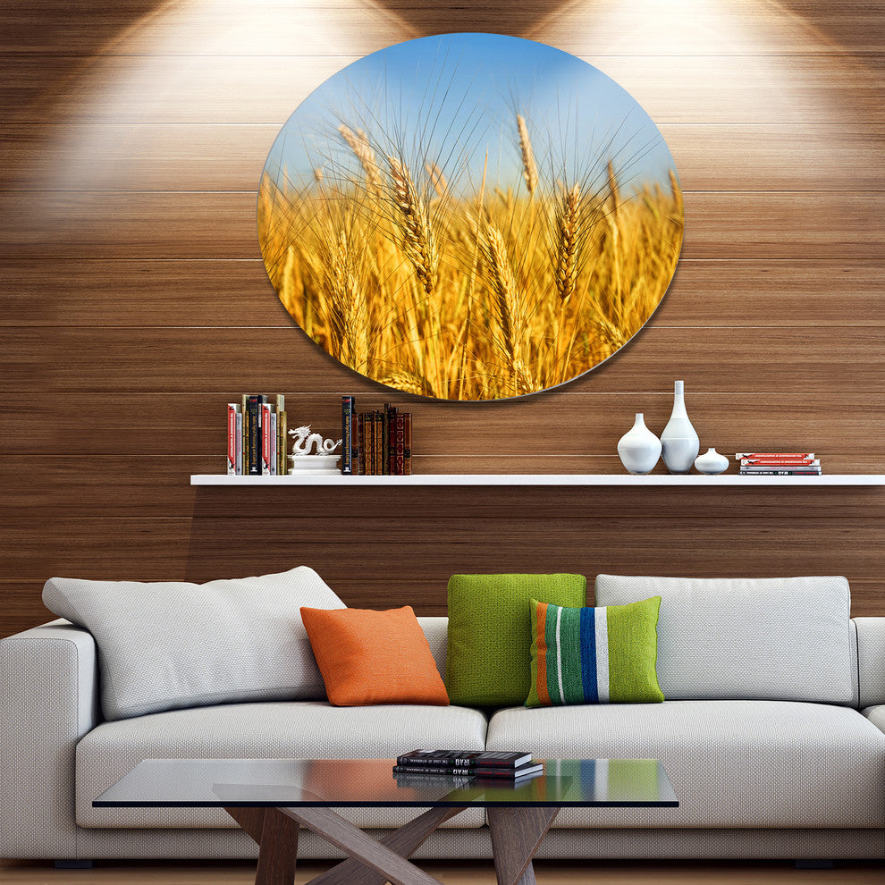 Bright Golden Wheat Field, Landscape Large Disc Metal Wall Art, 23"