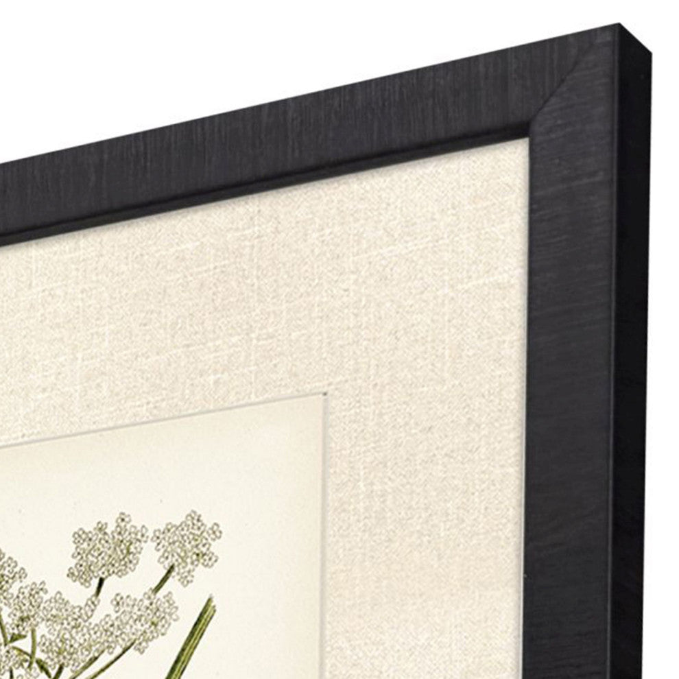 Queen's Lace I Framed Art, 2-Piece Set
