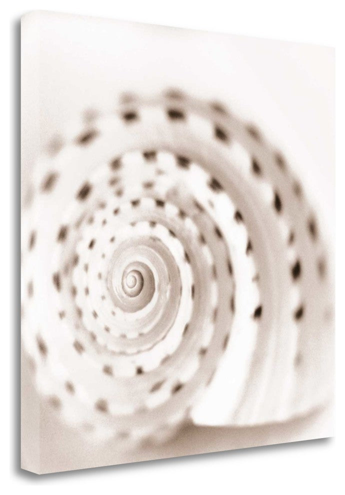 "Atlantis 1" By Alan Blaustein,Ready to Hang Giclee Print on Gallery Wrap Canvas