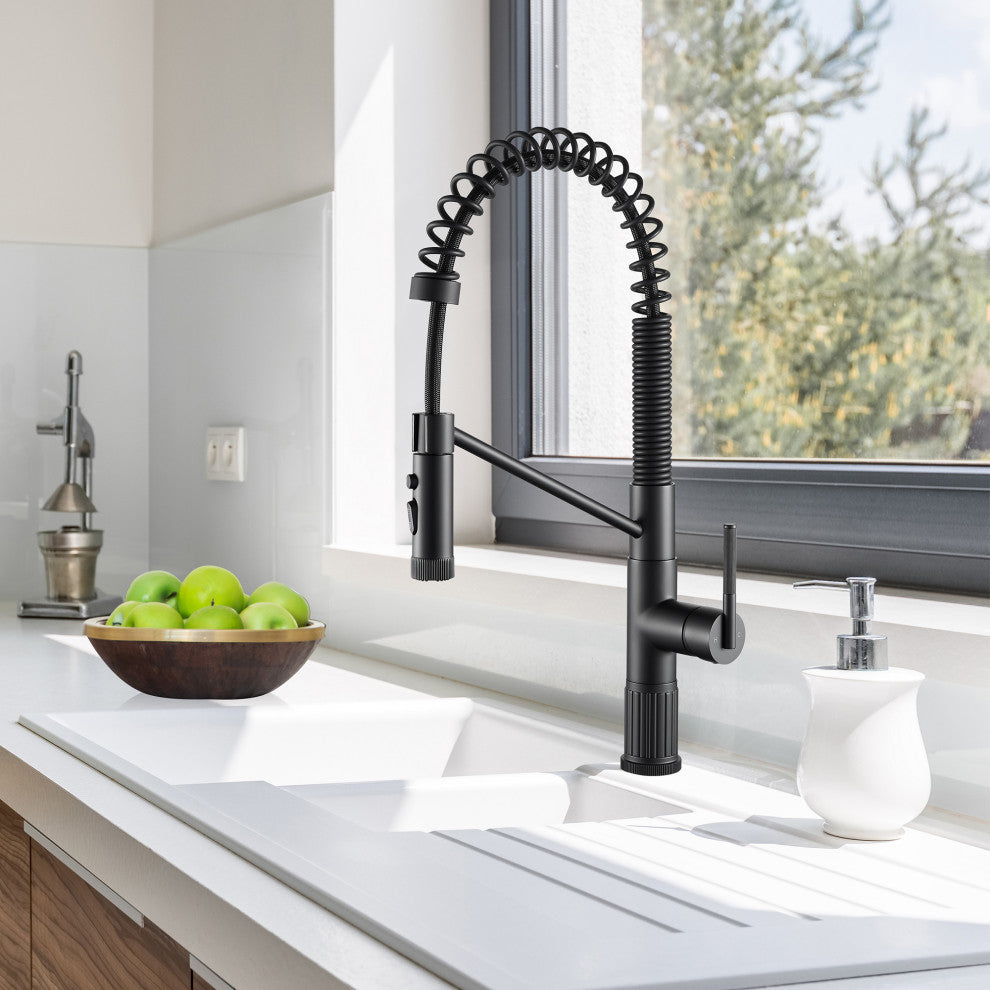 Nette Single-Handle Kitchen Faucet With Pull Down Sprayer, Matte Black