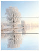 "Frosty Winter Tree by Rising" Photo Metal Wall Art, 3 Panels, 28"x36"