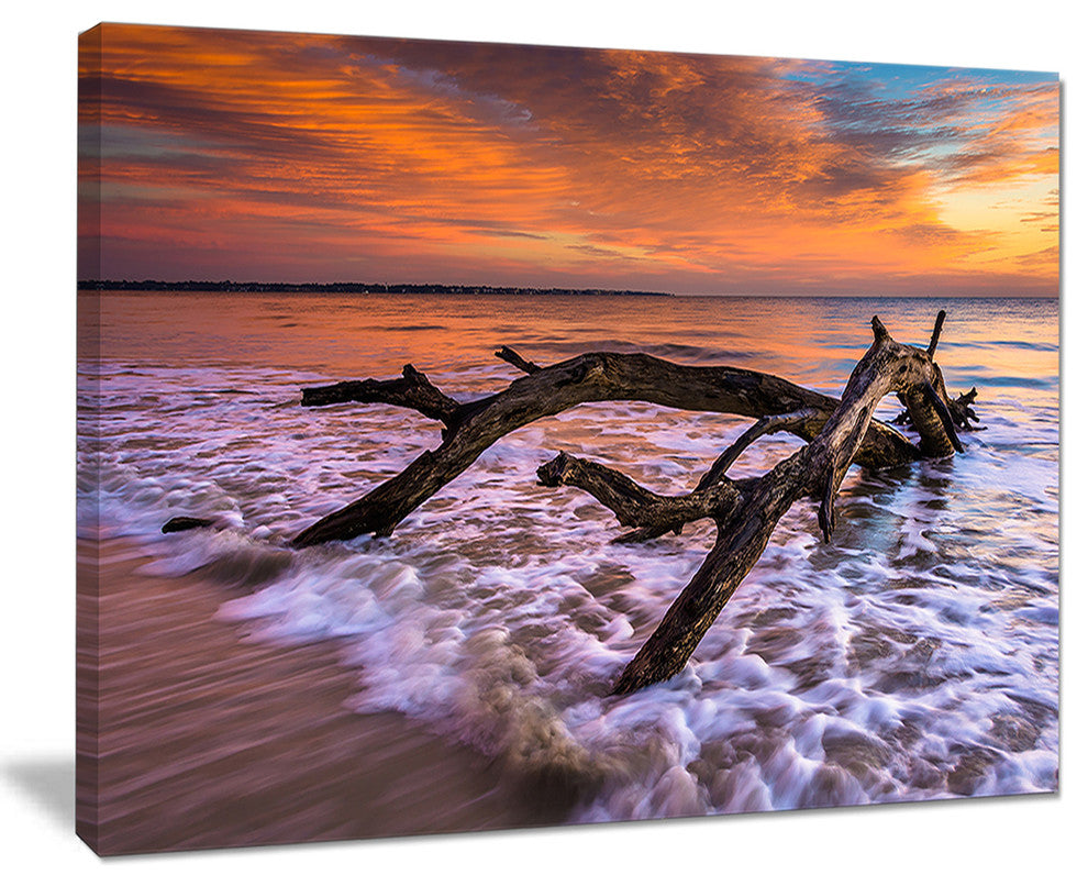 "Huge Branch of Tree At Seashore" Beach Canvas Wall Art, 40"x30"