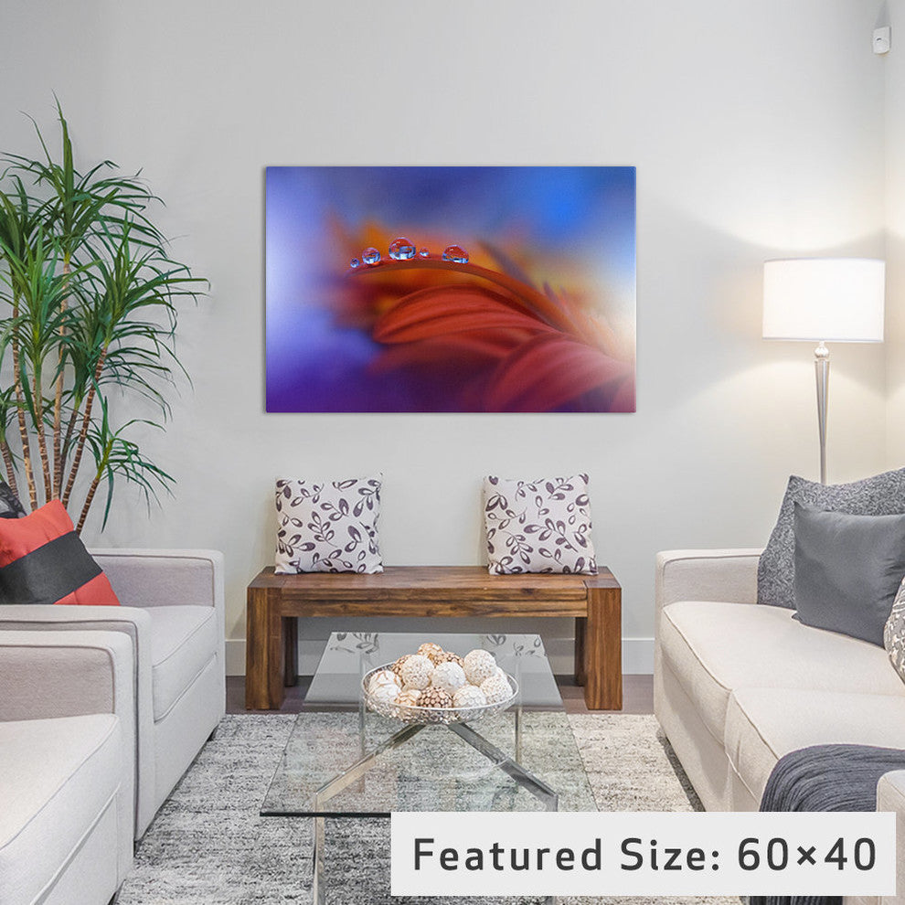 "Metamorphosis..." by Juliana Nan, 40x26x1.5