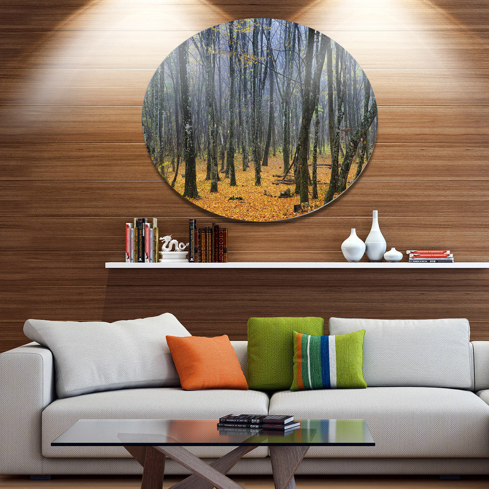 Dark Woods In Autumn Forest, Modern Forest Round Wall Art, 36"