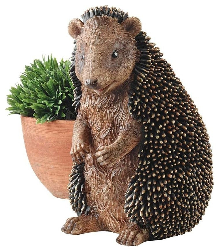 Halsey The Hedgehog