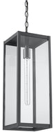 Modern 1 Light outdoor aluminum hanging porch pendant in black