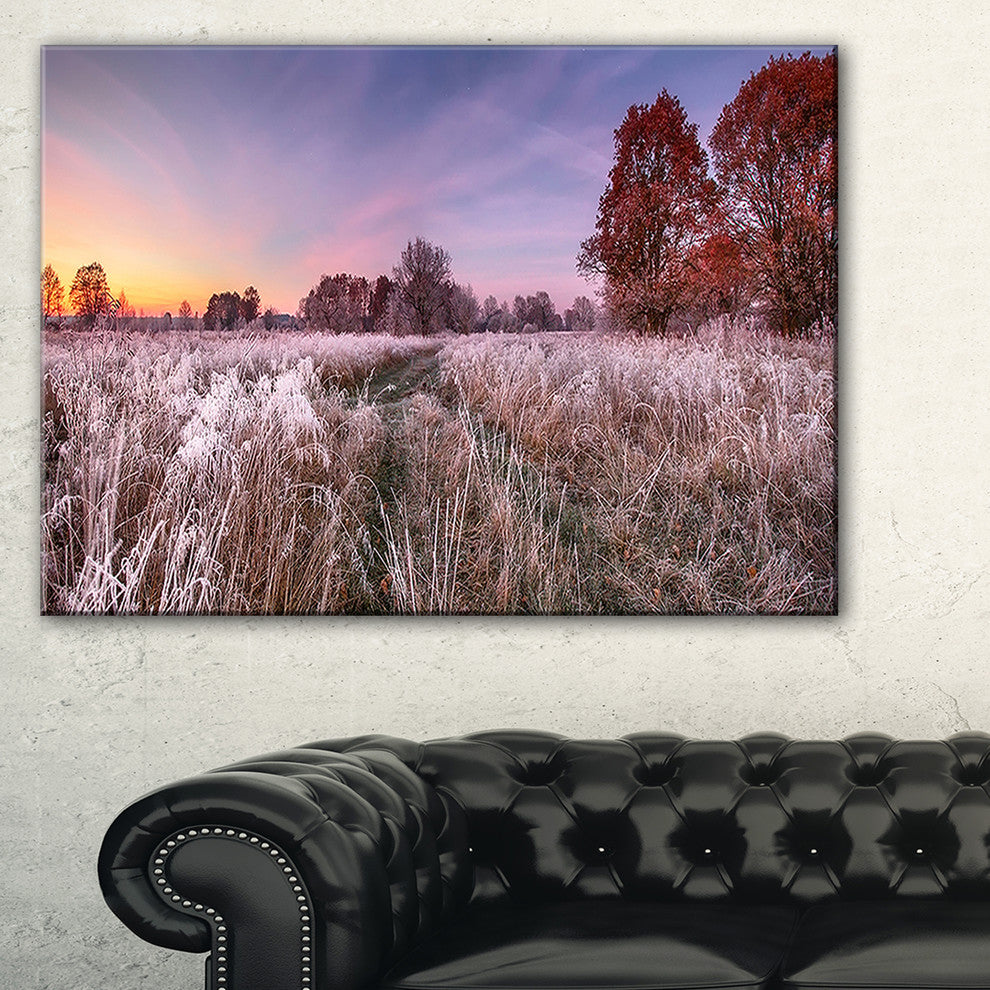 "Frosty Fall Trees With Red Leaves" Landscape Wall Art, 40"x20"