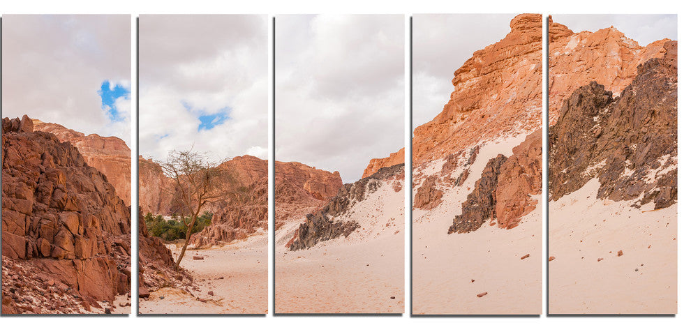 "Fantastic Panorama of White Canyon" Wall Art Landscape, 5 Panels, 60"x28"