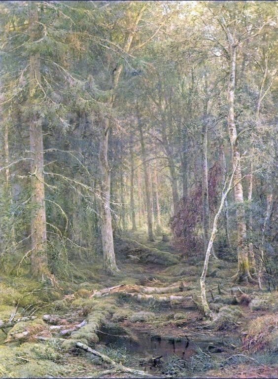 Ivan Ivanovich Shishkin Backwoods Premium Canvas Print