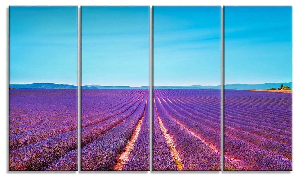 "Lavender Flowers and Clear Sky" Landscape Wall Art Print, 4 Panels, 48"x28"