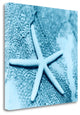 "Nautica No2" By Alan Blaustein, Giclee Print on Gallery Wrap Canvas