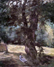 Gustave Caillebotte Woman Seated Under a Tree Premium Canvas Print