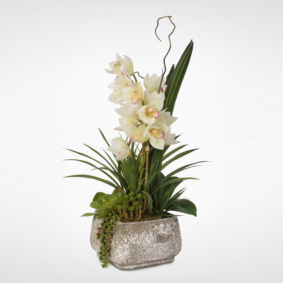Real Touch White Cymbidium Orchids With Artificial Succulents in Concrete Pot