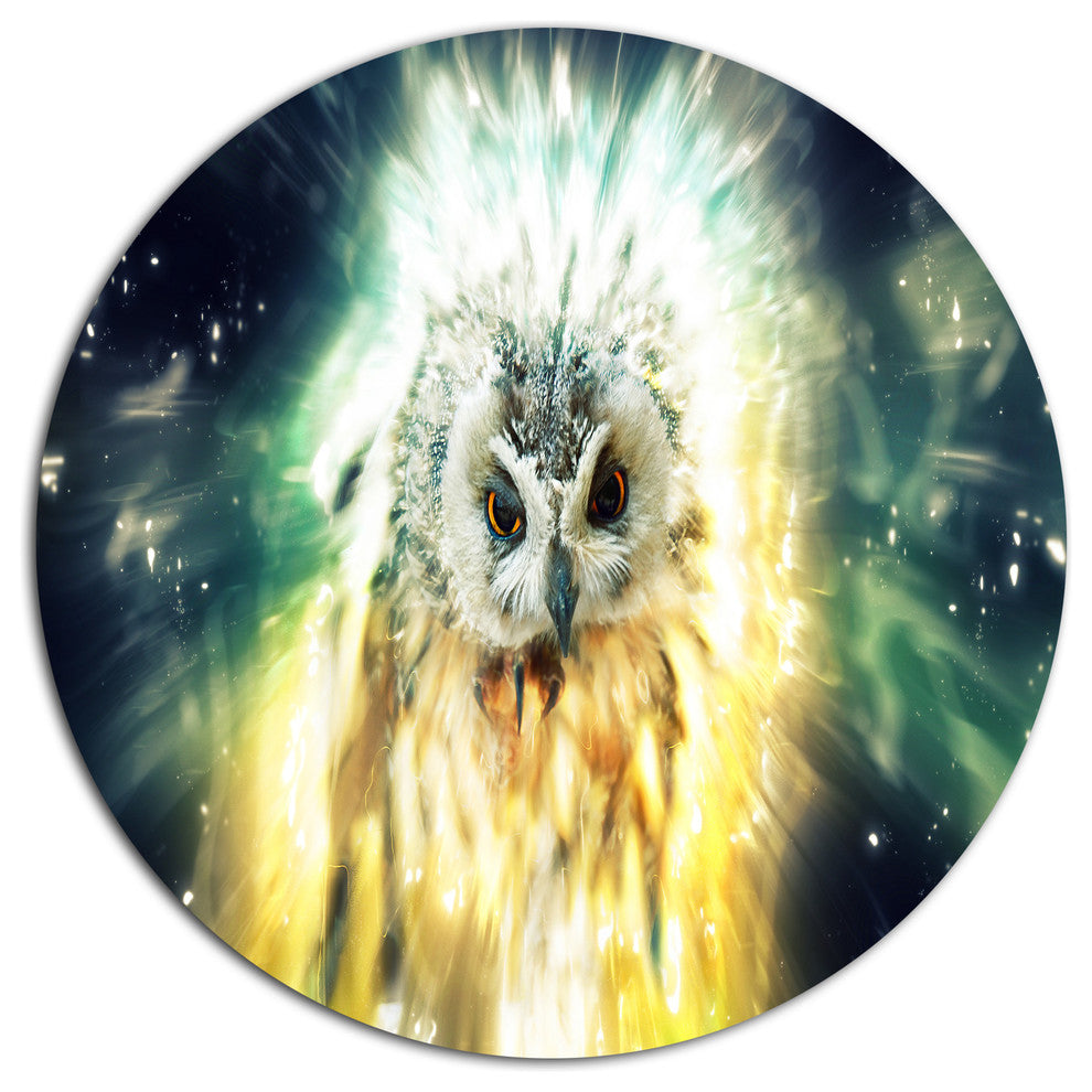 Owl Over Colorful Abstract Image, Animal Disc Metal Wall Art, 36"