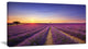 "Lavender Field in Provence France" Landscape Wall Art Print, 1 Panel, 60"x28"