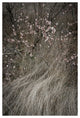 PETALUMA ROAD TRIP #1, 24x36