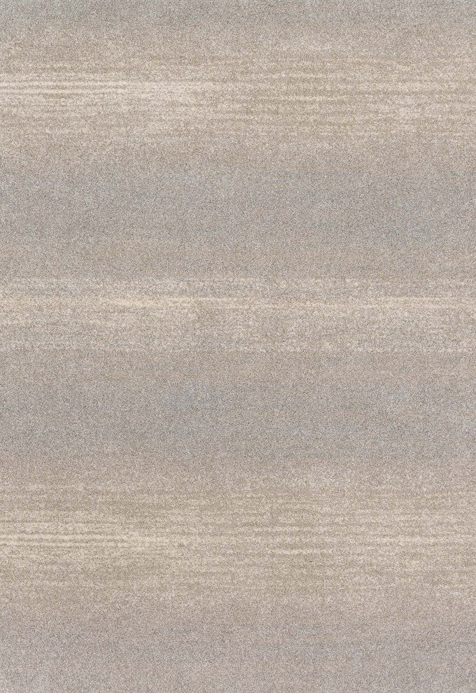 Easy Care, Stain/Fade Resistant Emory Area Rug, Silver, 7'7"x10'6"