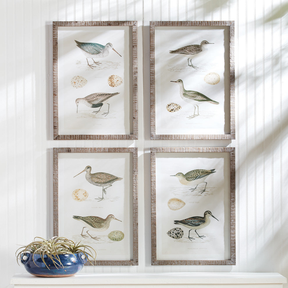 4-Piece Coastal Birds Study Set