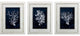 Wood Coral Blue Framed Art, 3-Piece Set
