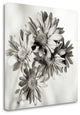 "Florison - 40" By Alan Blaustein, Giclee Print on Gallery Wrap Canvas