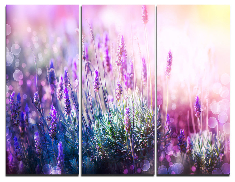 "Growing and Blooming Lavender" Photo Metal Wall Art, 3 Panels, 36"x28"