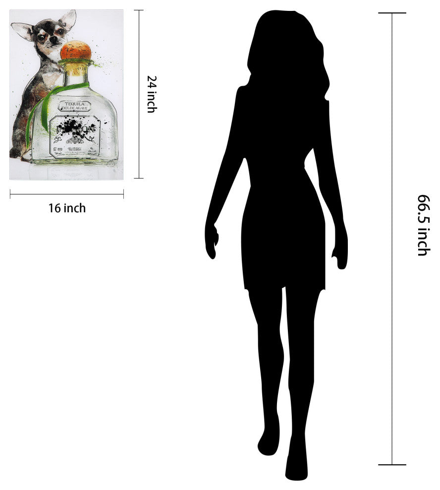 Viva Mexico Dog Fashion Wall Art on Frameless Free Floating Tempered Glass 24x16