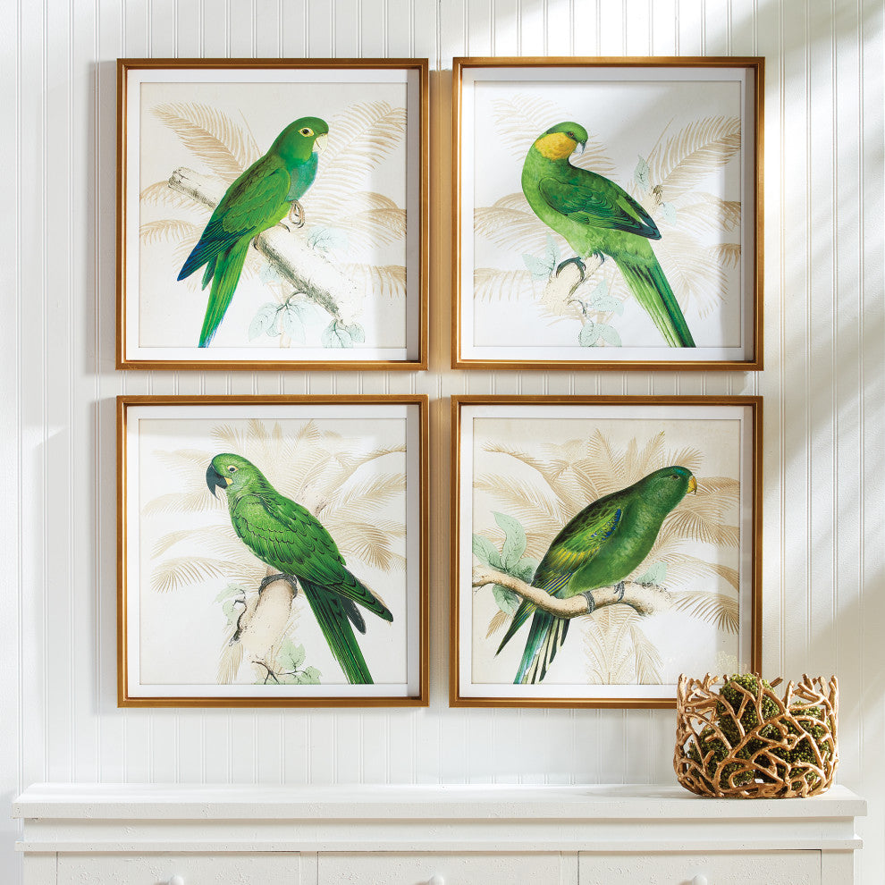 4-Piece Green Parrots Study Set