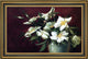 Harriet Cheney White Roses  Framed Premium Canvas Print, 18"x27"