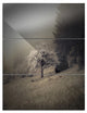 "Apple Tree Vintage-Style" Photo Metal Wall Art, 3 Panels, 28"x36"