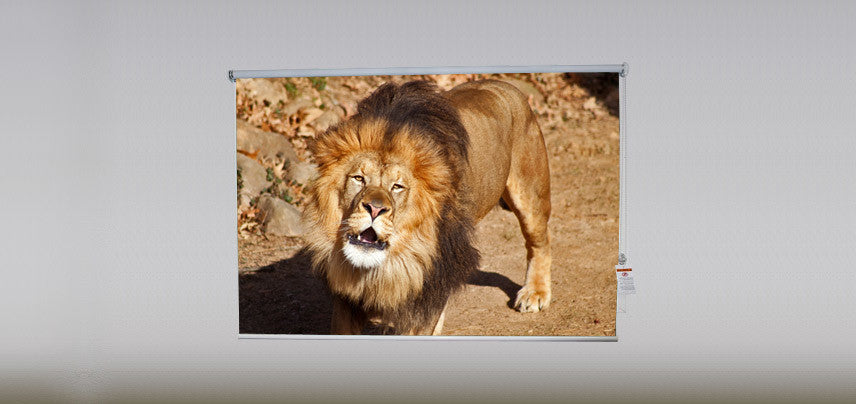 "Lion" Artwork, 3' Shade, Partial Sheer