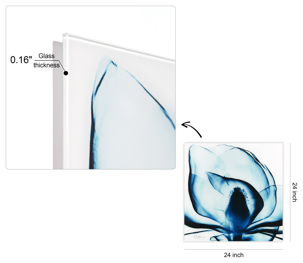 Blue Magnolia X-Ray Flower Wall Art Frameless Free Floating Tempered Glass Panel