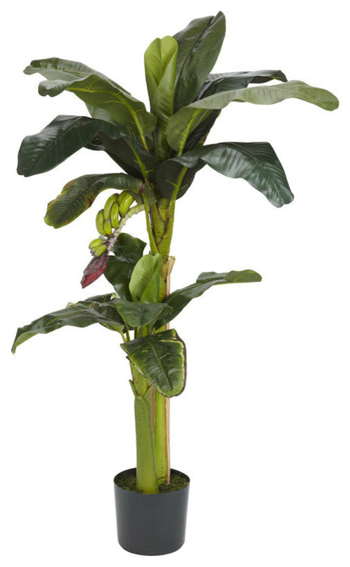 5'+3' Banana Silk Tree With Bananas