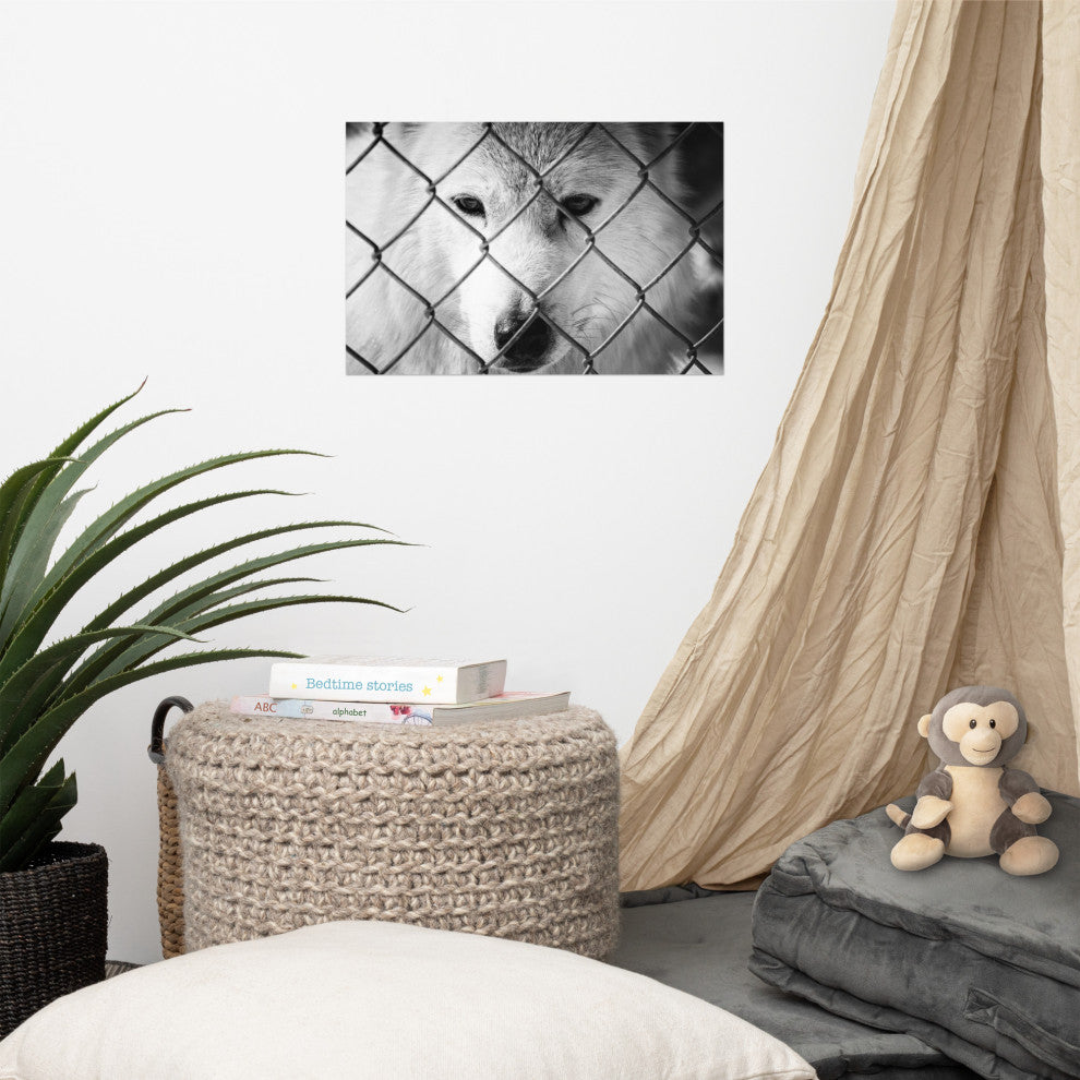 Dreams of Freedom Black & White Wildlife Photo (Wolf) Unframed Wall Art Print, 12" X 18"