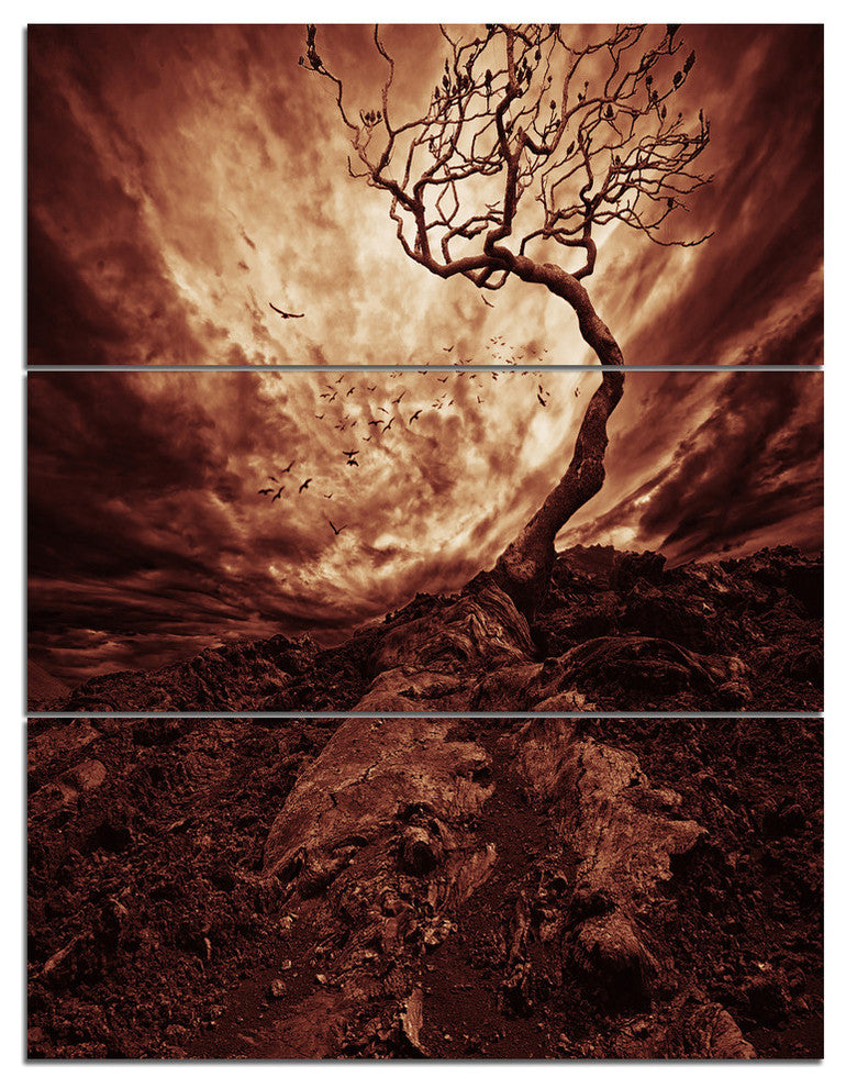 "Dramatic White Sun Over Lone Tree" Metal Landscape, 3 Panels, 28"x36"
