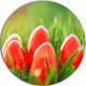 Red Easter Eggs In Green Grass, Landscape Round Metal Wall Art, 23"