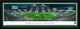 Michigan State University, Football, End Zone, Black Matted
