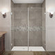 Aston Nautis 60"x72" Completely Frameless Hinged Shower Door, Stainless Steel