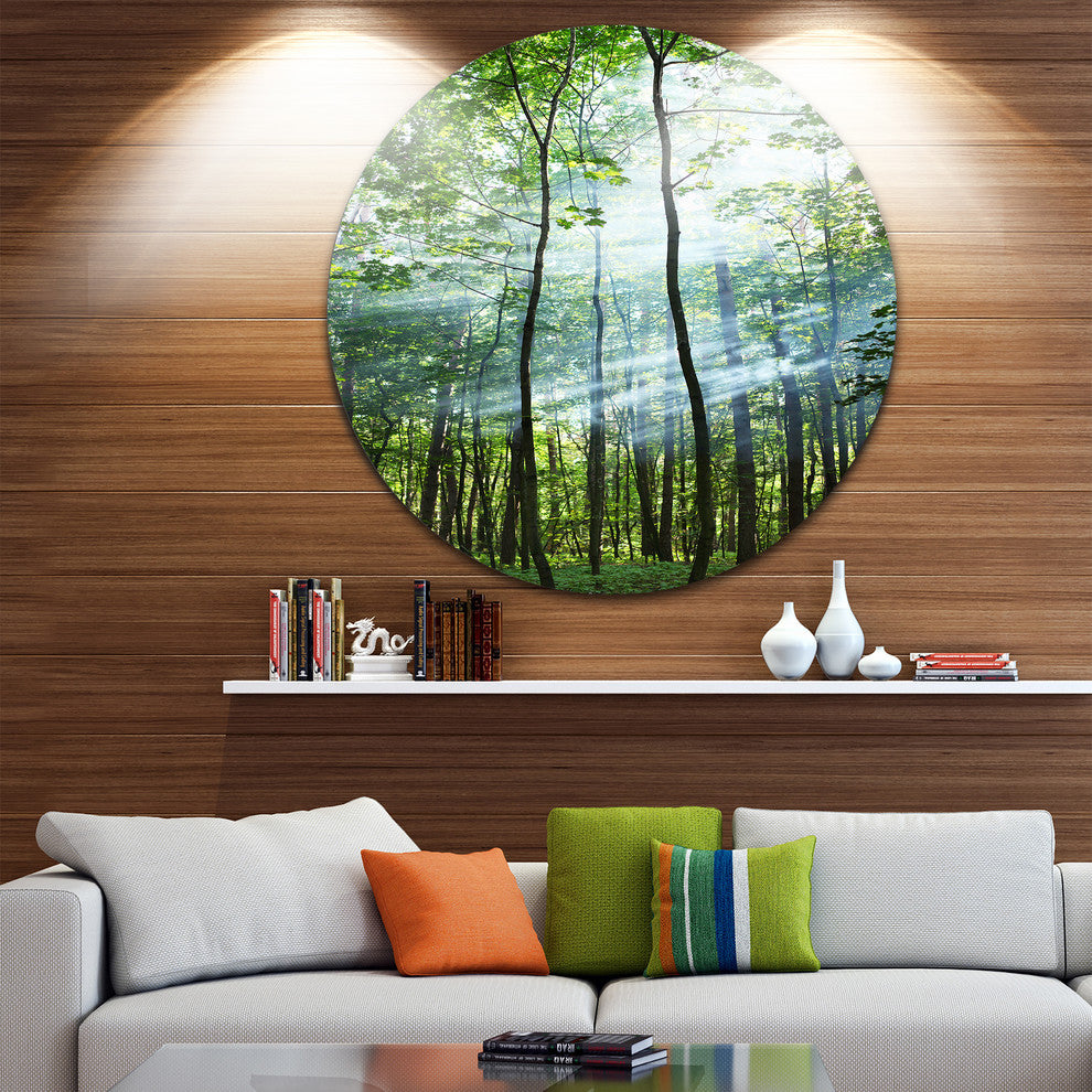 Green Sunny Forest, Landscape Photography Large Disc Metal Artwork, 11"