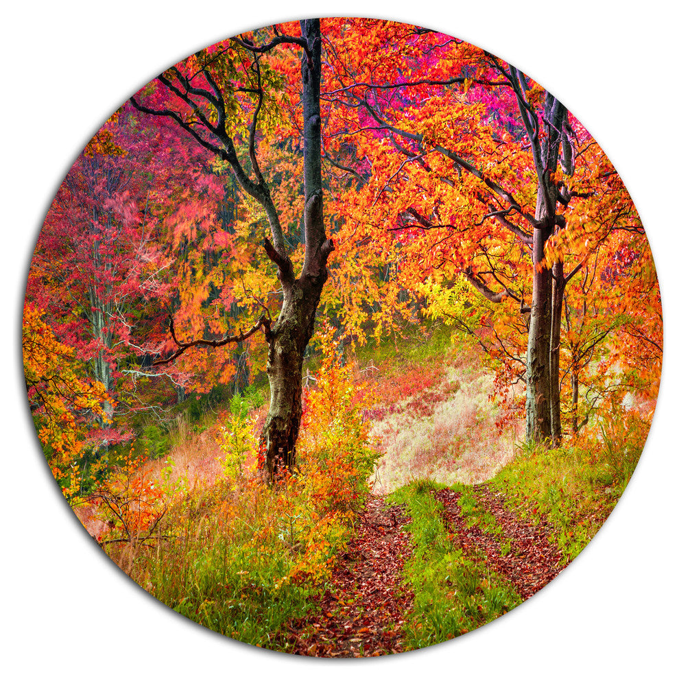 Bright Colorful Fall Trees In Forest, Landscape Disc Metal Artwork, 23"