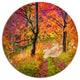 Bright Colorful Fall Trees In Forest, Landscape Disc Metal Artwork, 23"