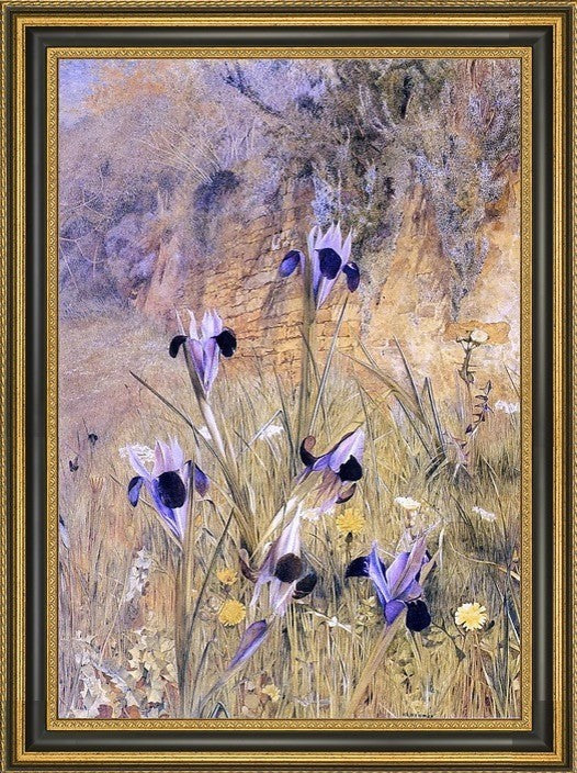 Henry Roderick Newman Irises in the Garden Framed Premium Canvas Print, 16"x24"