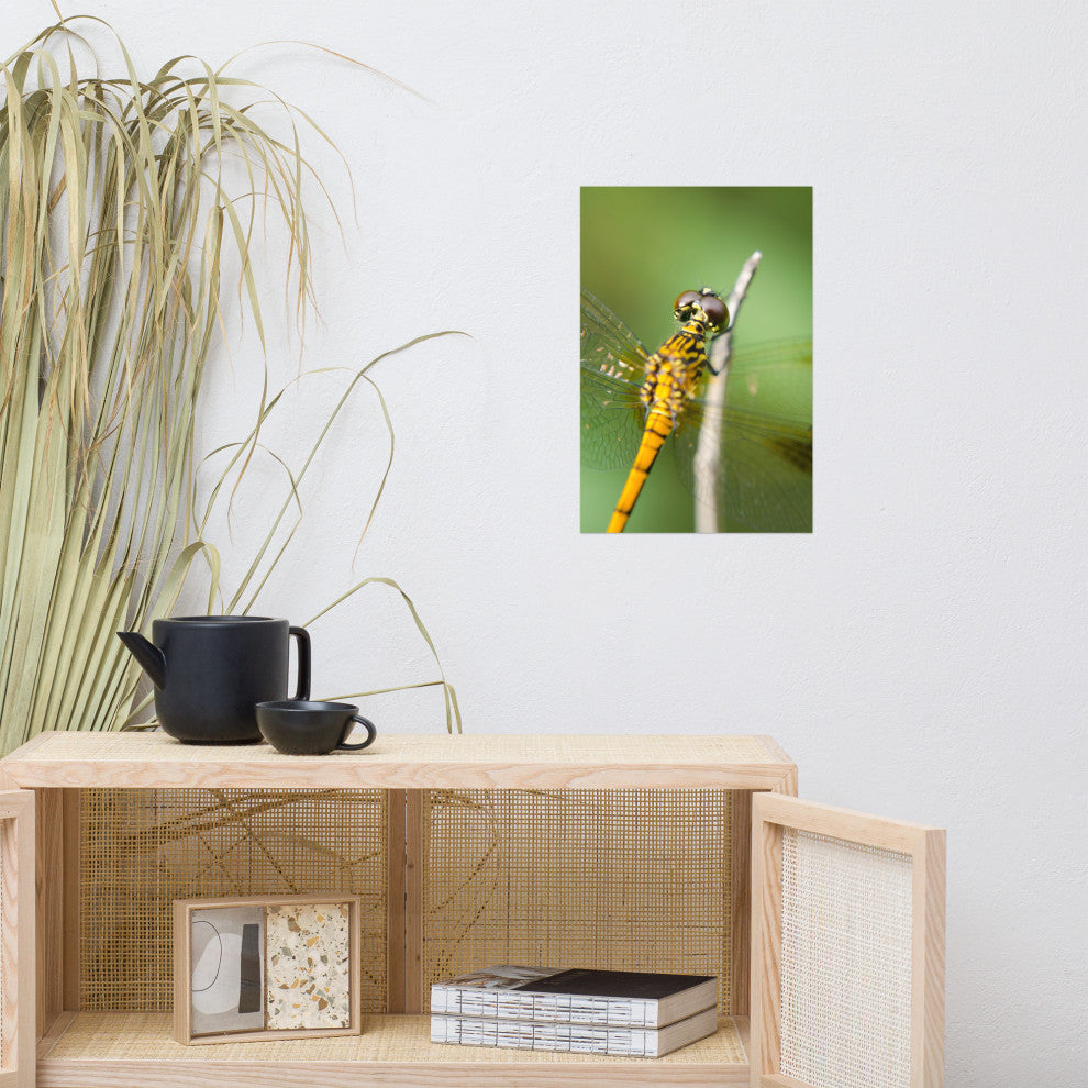 Dragonfly at Bombay Hook Wildlife Photography Unframed Wall Art Print, 12" X 18"